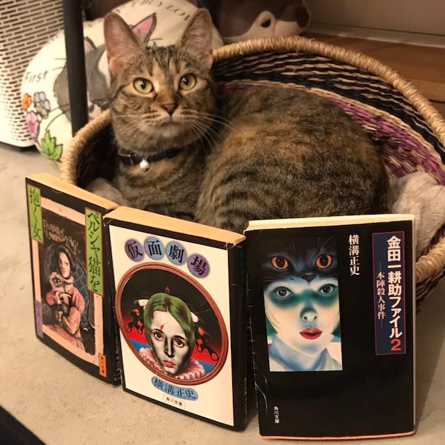 貓控旅日必去 3間在全日本爆紅的 貓書店 可愛的貓店長陪伴你逛書店 窩日本wow Japan