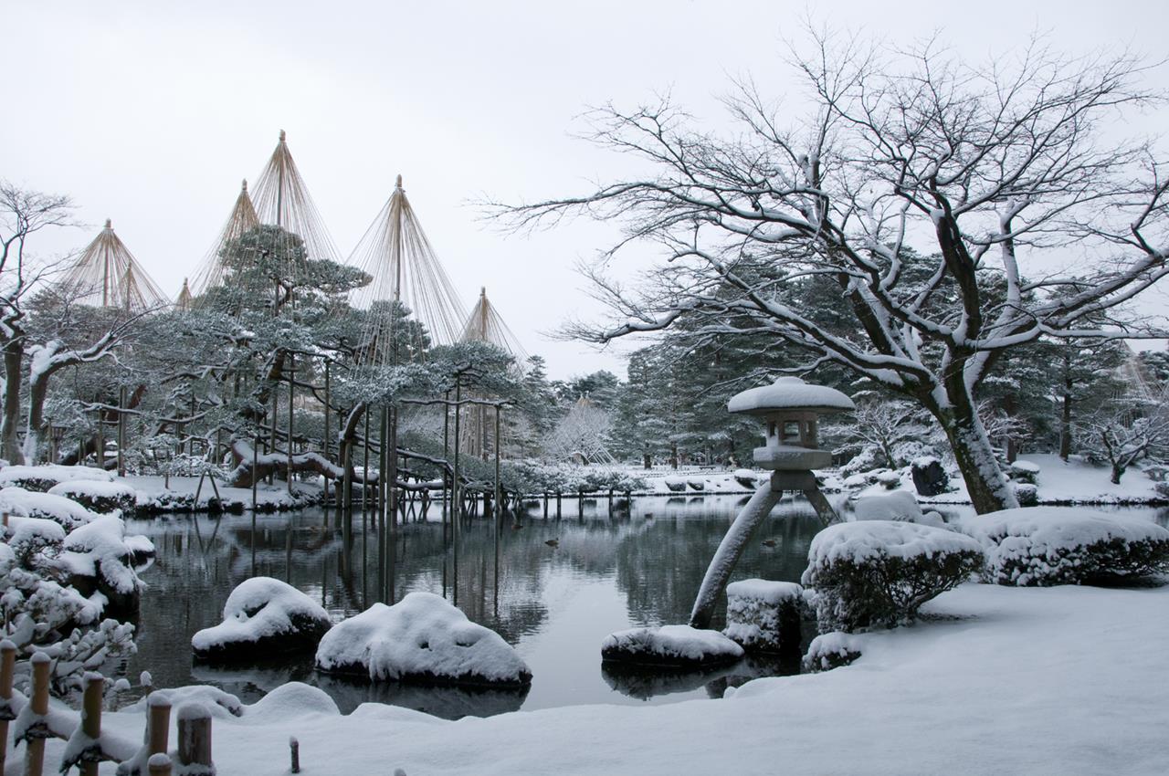 金澤雪吊り