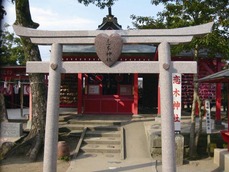 九州必去戀愛神社七選推薦 戀木神社 霧島神宮 還有還有 窩日本wow Japan