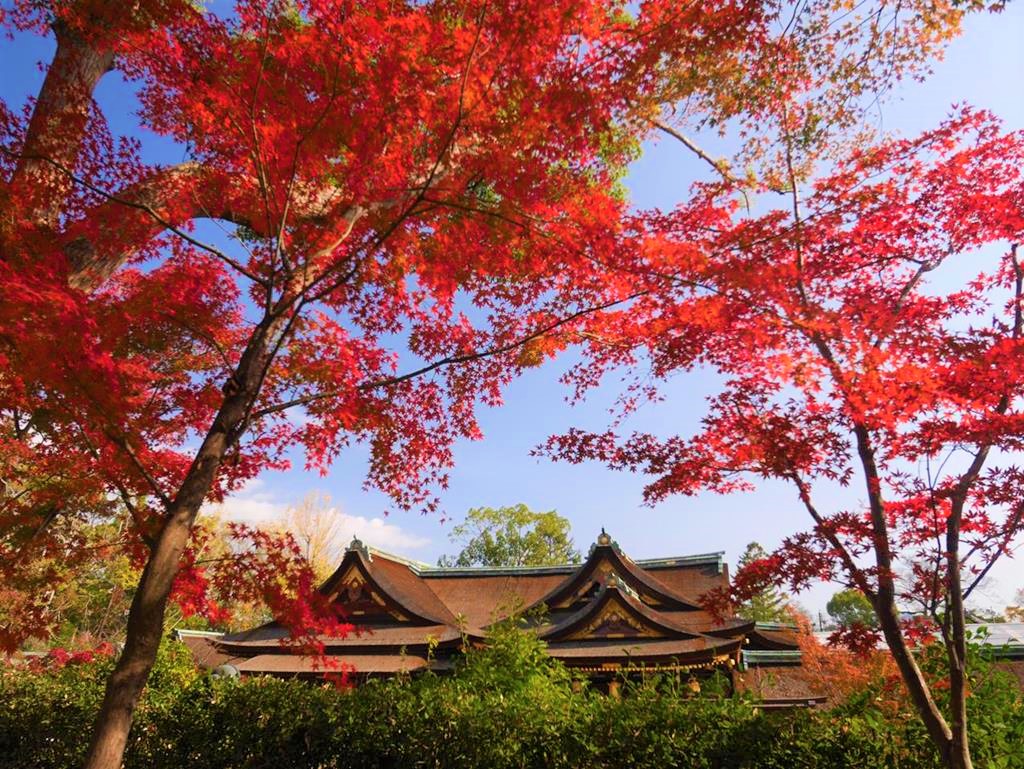 京都賞楓景點10選推薦-一篇讓你成為京都楓葉通- 窩日本Wow-Japan