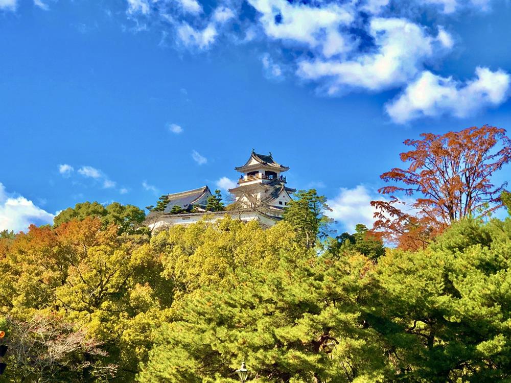 高知縣賞楓勝地9選推薦 中津溪谷 竹林寺 還有 窩日本wow Japan