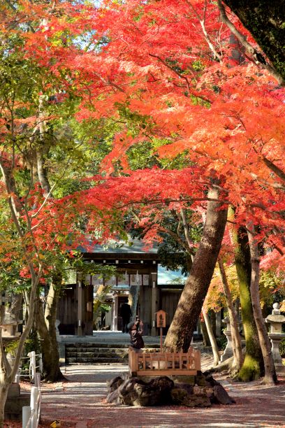 高知縣賞楓勝地9選推薦 中津溪谷 竹林寺 還有 窩日本wow Japan