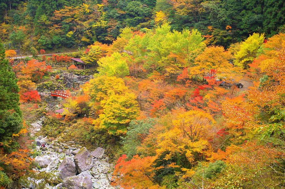 高知縣賞楓勝地9選推薦 中津溪谷 竹林寺 還有 窩日本wow Japan